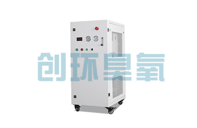 渝北比传统换水更高效?臭氧发生器在石斑鱼养殖中的水质净化原理解析